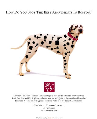 artwork for website 199