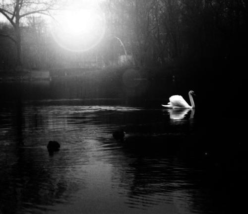 artwork for website 116